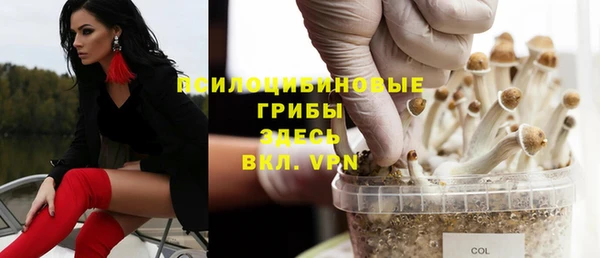 гидра Вязьма