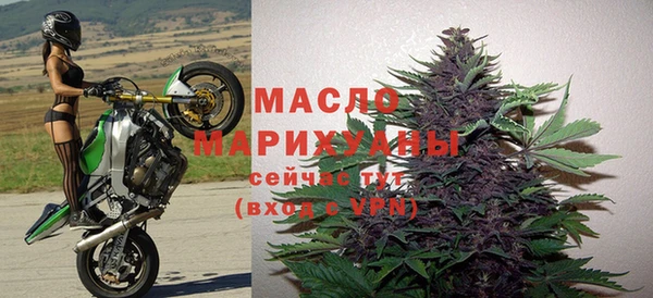 гидра Вязьма