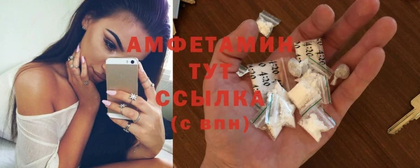 гидра Вязьма