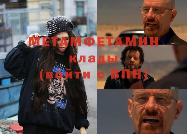 гидра Вязьма