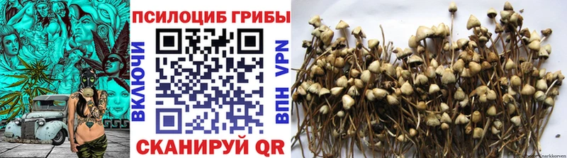 Галлюциногенные грибы прущие грибы  цена наркотик  Горячий Ключ 