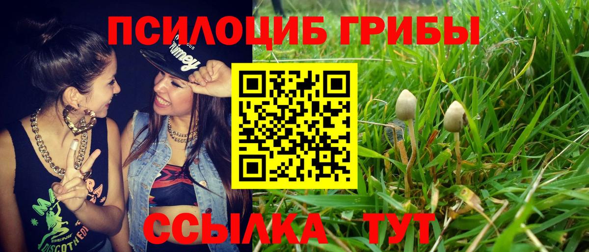 Горячий Ключ  Псилоцибиновые грибы Psilocybe  Вход с VPN 